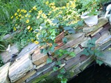 Koi Pond Stone Stacked Wall