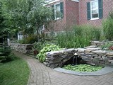 Patio and Pond Creation